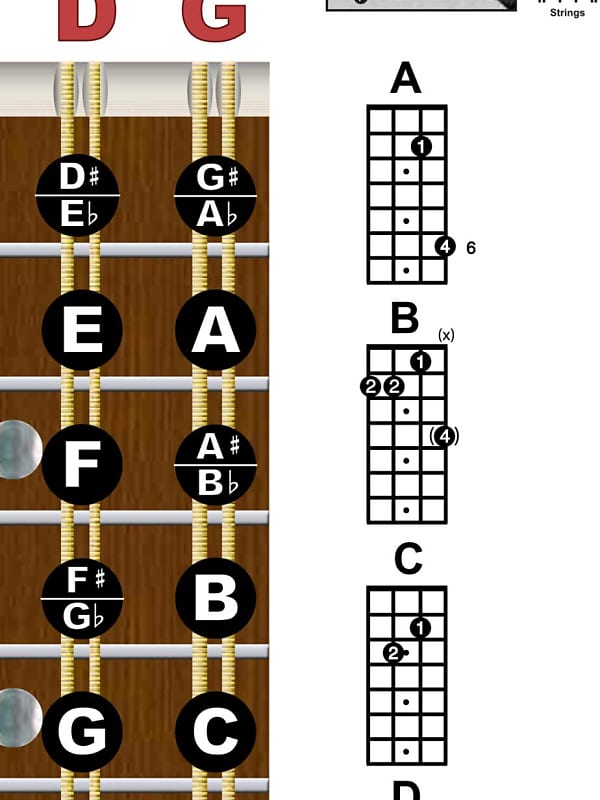 Mini Mandolin Chords Chart - 755798123478