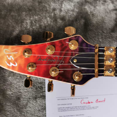 ESP Horizon CTM FR See Thru Pink Purple Gradation Finish High-End Guitar image 6