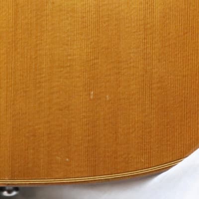 Superior Brand Classical Cutaway Guitar - Made in Mexico - Berkeley Music Instrument Co. image 14