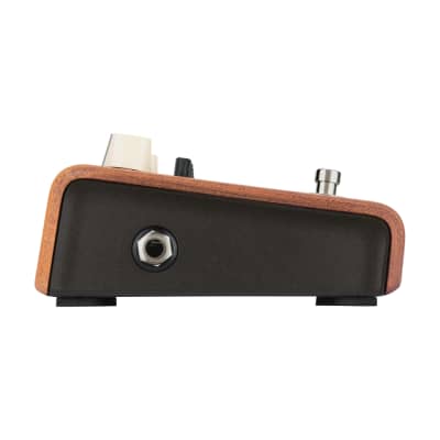 LR Baggs Align Series Acoustic Pedal  EQ Equalizer image 6