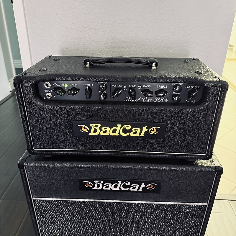 【手渡し限定】Bad Cat / Black Cat 30R Bad Cat Black Cat 30R, yay or nay? : r/GuitarAmps