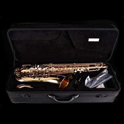 Selmer STS411 Step-Up Tenor Saxophone Outfit-Lacquer image 10