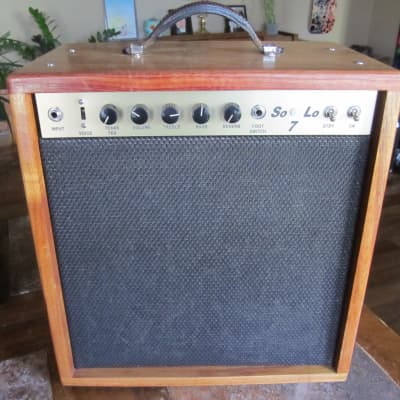 Kendrick So Lo 7 2018 Spring Reverb - Brazilian Canary Combo Tube Amp for sale