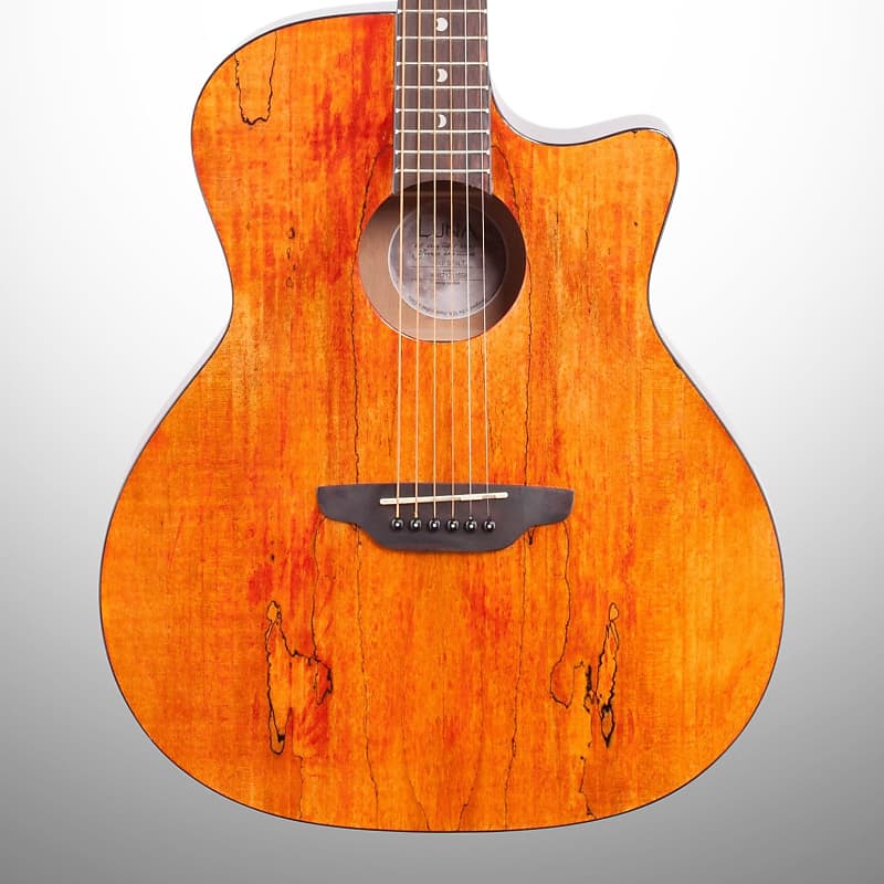 Luna Gypsy Grand Auditorium Acoustic Guitar, Exotic Spalted Maple image 1
