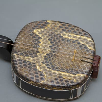 Immagine Chinese musical instrument Sanxian - 2