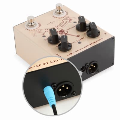 Caline CP-40 PRE-AMP DI Box with Anti Feedback control for Acoustic Guitars True Bypass image 5