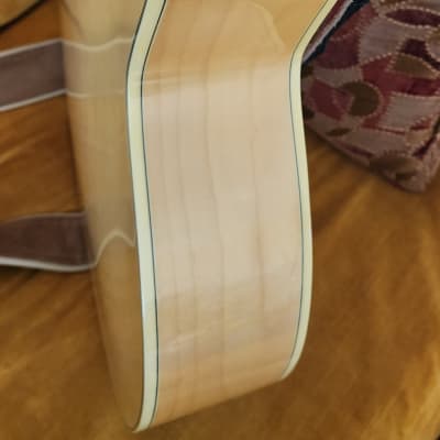 Samick TA-630 Tommy Allsup Signature Hollow Body Guitar