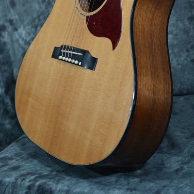 Gibson Hummingbird Walnut M (Avant Garde AG) 2018 - 2019 | Reverb