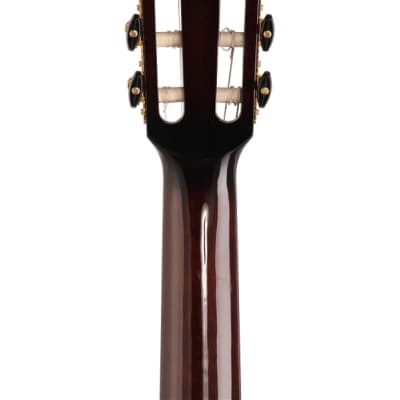 Ibanez GA35TCE Thinline Classical Acoustic Electric Guitar Violin image 7