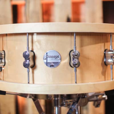 PDP 6.5x14 Concept Maple Thick Wood Hoop Snare Drum image 1
