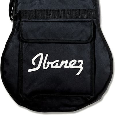 Ibanez IJV50 Jumpstart Acoustic Guitar Package image 2