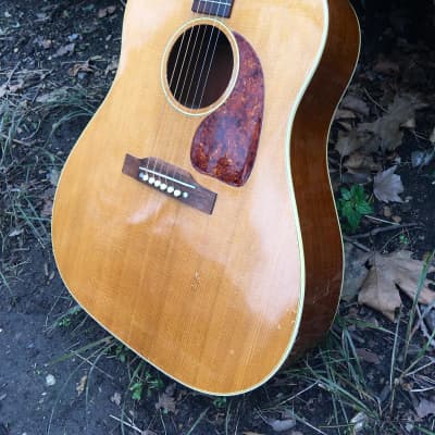 Gibson J50 Acoustic 1952 - Natural image 3