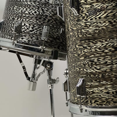Rogers 20/12/16/5x14" 1960's Cleveland-Era Holiday Drum Set - Black Onyx image 20
