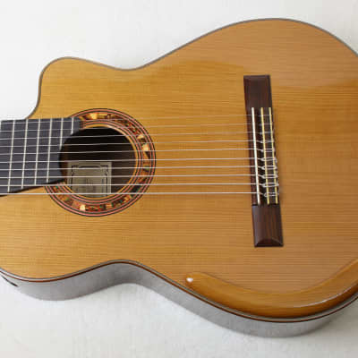 RARE Lucio Nuñez 10-String Classical Harp Guitar w/Cutaway, Arm Rest, Sound Port, Cedar/Cocobolo, TKL Hardshell Case image 1