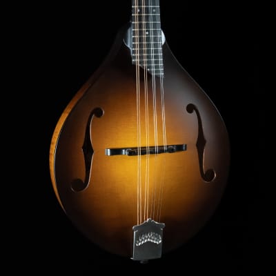 Collings MT, Engelmann Spruce, Maple, Satin Finish - NEW for sale