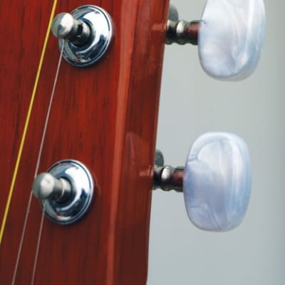 Indiana COLT Standard Size 36-Inch Spruce Top 6-String Acoustic Guitar w/Gig Bag image 8
