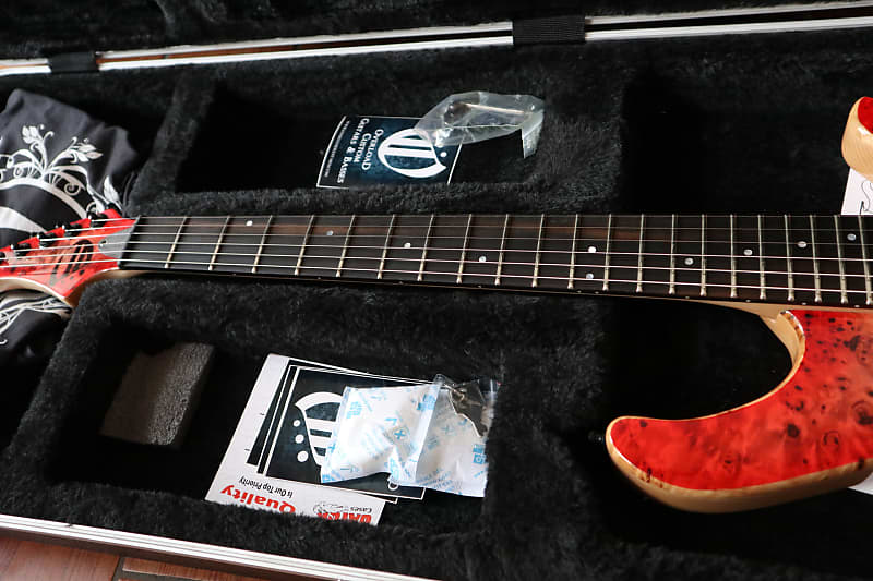 Overload Custom Guitars Rea 6 | Reverb