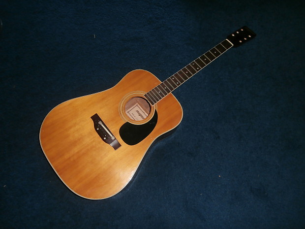 Magnum acoustic guitar discount