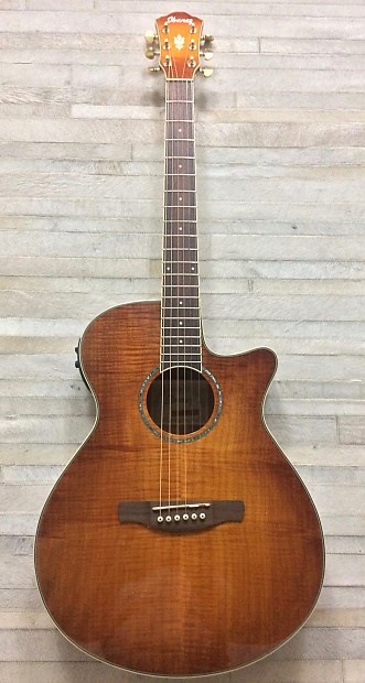 Ibanez aeg2011 top