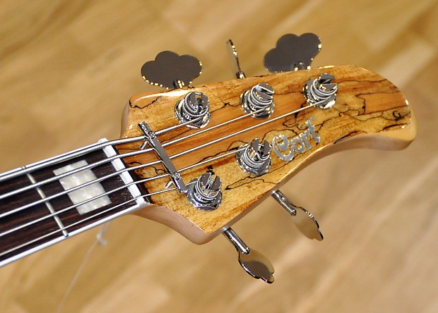 Cort GB5 Custom Maple Top 5 Strings GB5-Custom Bass Guitar w Cort GB5 Custom Maple Top 5 Strings GB5-Custom Bass Guitar w