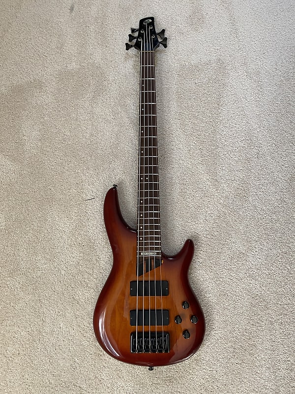 Samick Custom 5 String Bass Reverb