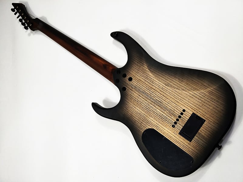 超人気 GOC Guitars Valkyrie 6 エレキギター - idamarafreire.com.br