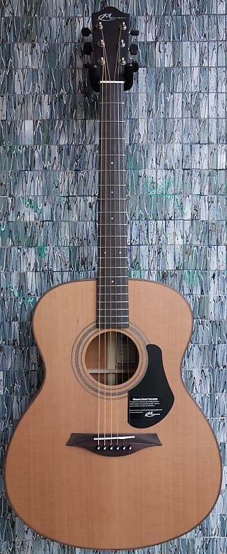 Mayson Elementary Series Marquis ECM10 Acoustic Guitar image 1