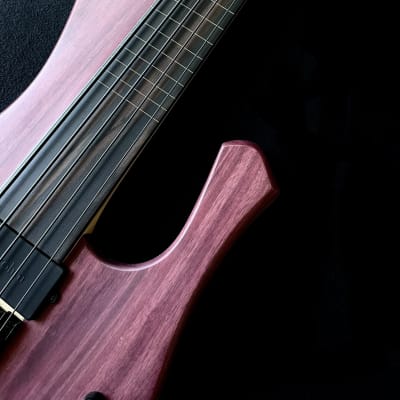 MG Bass New Extreman Fretless 5 strings bartolini pickup Ebony fingerboard image 3