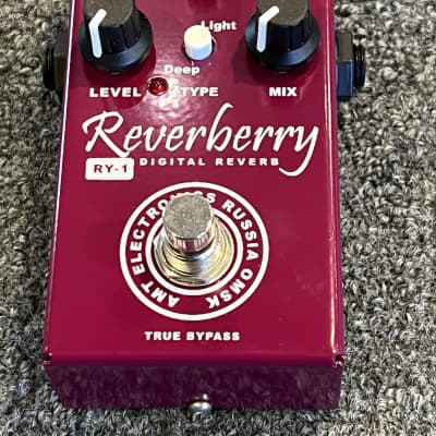 AMT Electronics RY-1 Reverberry Digital Reverb Guitar Effects Pedal 2022 for sale