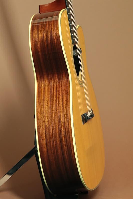 Schoenberg Guitars Soloist (Julius Borges) 1990's | Reverb