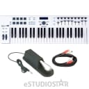 Arturia KeyLab 49 Essential Universal MIDI Controller w/ AxcessAbles Sustain Pedal and Audio Cable