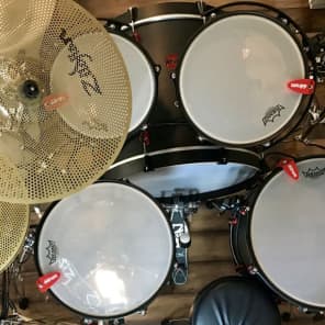 Ddrum Hybrid 5 Pieces Drum Set w/ Hardware Low Volume Zildjian Cymbals plus Mesh Heads image 5