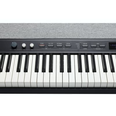 Kurzweil KaP1 LB image 5