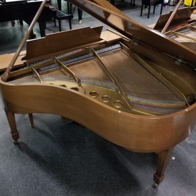 Steinway M Grand Piano image 4