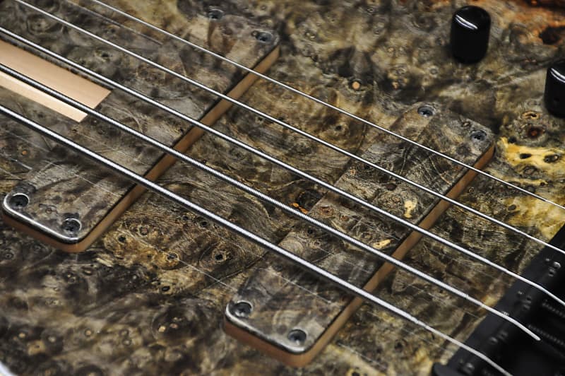 F Bass BN5 - Buckeye Burl | Reverb