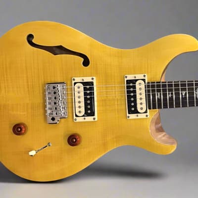 PRS SE Custom 22 Semi-Hollow | Reverb