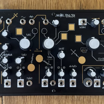 Make Noise Strega Module | Reverb