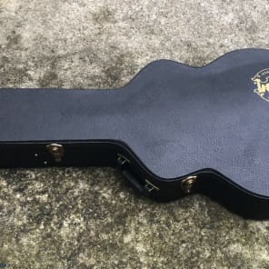 Gibson sj store 200 case