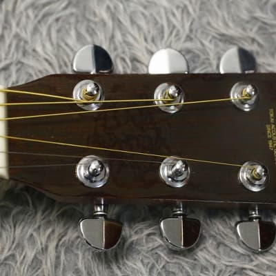 TOKAI Cat'sEyes D-18モデル TCM-40
