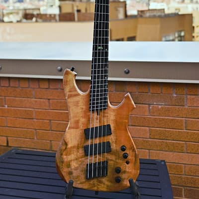 Geist Custom Instruments Phantom BF5 2019 5-String Bass image 1