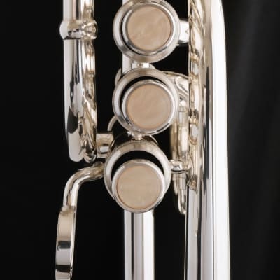 Brasspire Unicorn Piccolo Trumpet: Amazing Value and Performance! Bild 5