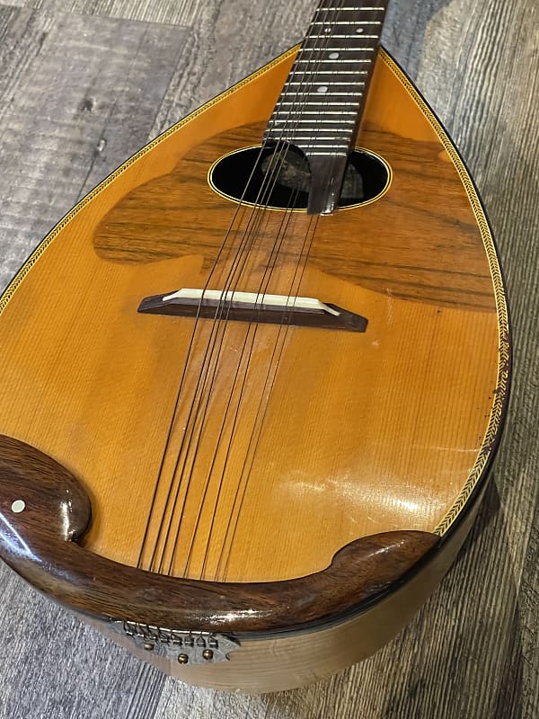 Segovia Bowl back “Tater Bugs” Mandolin Natural Reverb Canada