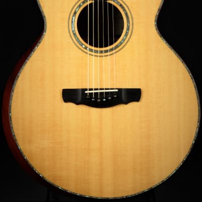 Ryan Cathedral Grand Fingerstyle - Sitka Spruce & Indian Rosewood 2003 *VIDEO* image 3