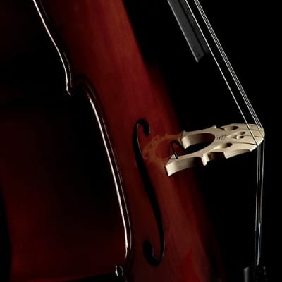 Fishman PRO-C20-0CE Concert Series C-200 Cello Pickup image 2