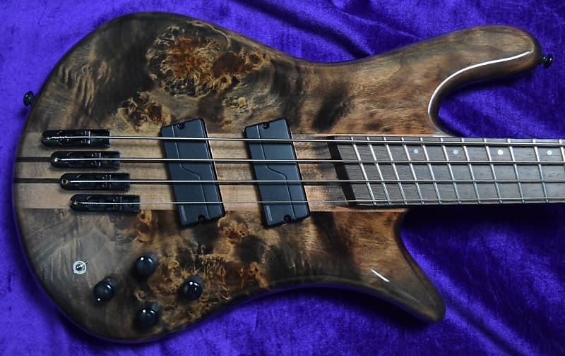 Spector NS Dimension 4-String, Super Faded Black Gloss Over Poplar Burl / Wenge image 1