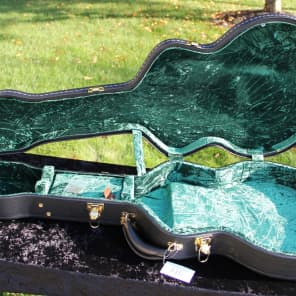Silver creek store guitar cases