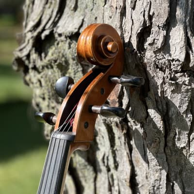 Eastman Stradivarius 2014 - Traditional Wooden image 8