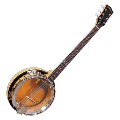 Gold Tone Professional 6-String Banjitar - B-Stock image 1