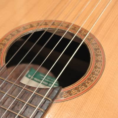 1960's (?) Giannini GN65 Classical Guitar- Brazilian