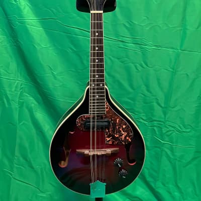 Samick Artist Series Edition Mandolin SM-20E Red | Reverb